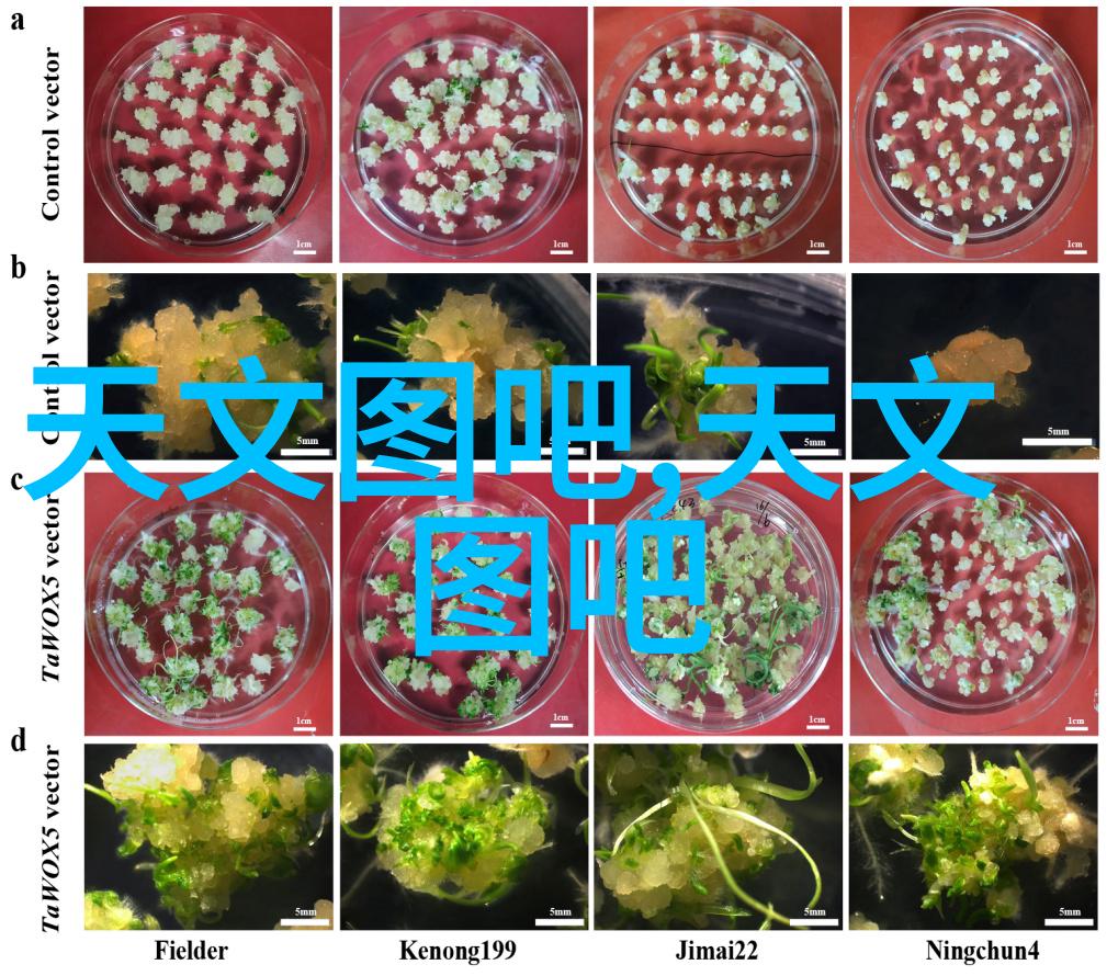 化学实验室必备探索各种精密仪器设备的应用与作用