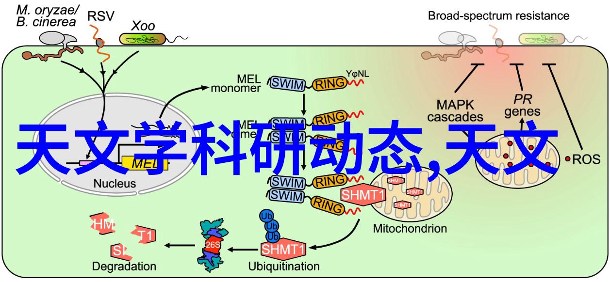 冰箱排水孔清理之道让你的冰箱不再淤积