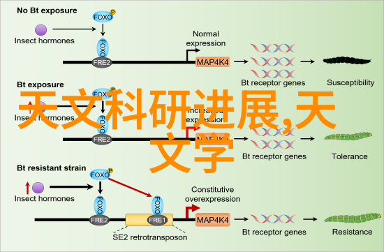 接了一个30厘米长的客人-小巧精灵的来访探秘30厘米巨星