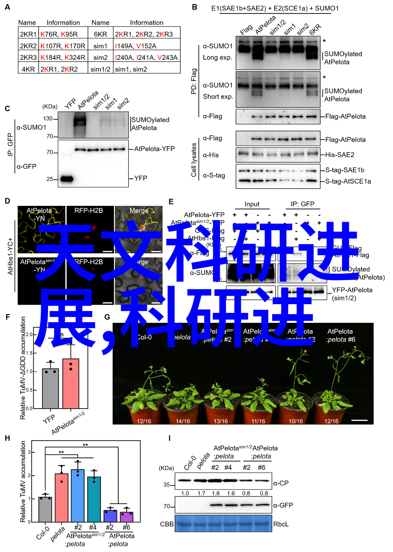 创新理念下的室内外连通设计案例分析