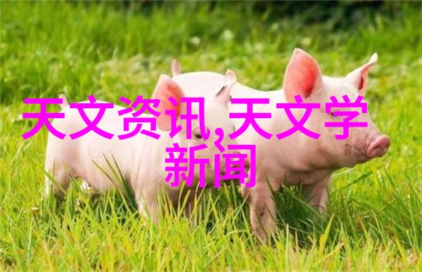 2021年海尔冰箱哪款性价比高冰箱食物不可乱摆放遵守这几大储鲜要点