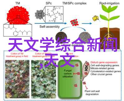 水电承包一米多少钱揭秘家居改造的金钱密碼