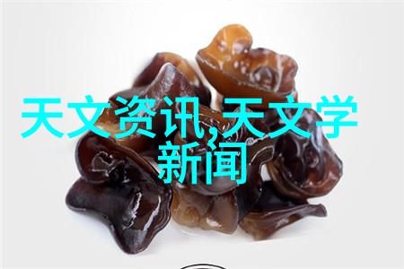 拍摄器材全览解析专业摄影设备与技术的图像资料集