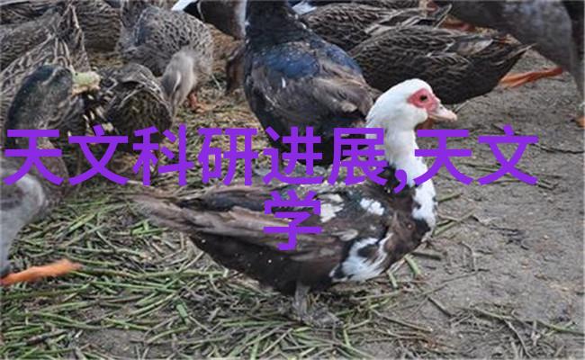 数据隐匿之翼信息产业安全测评中心