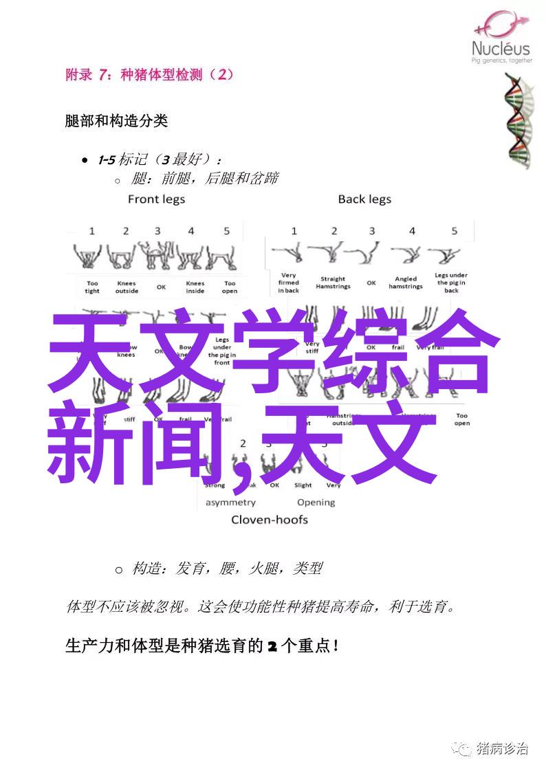 卫生间新风尚2023年最具吸引力的装修效果图