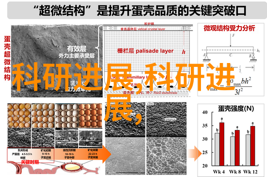 重庆水利电力职业技术学院引领水电智慧的教育殿堂