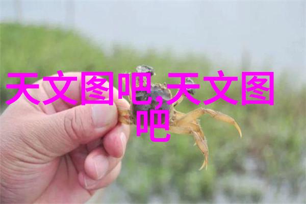 紧急呼叫附近维修空调师傅电话夏日清凉保驾护航