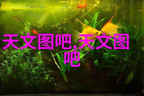 水利水电工程专业的未来就业路径与发展前景分析