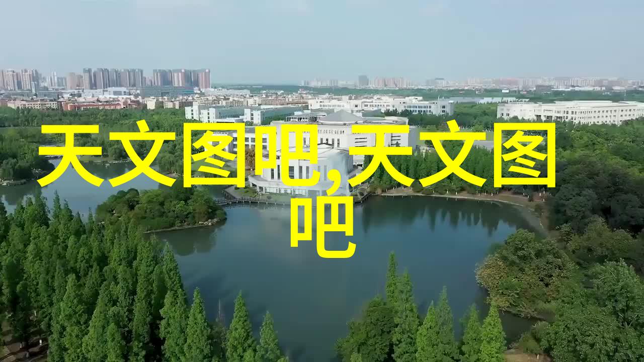 一體化客廳與飯堂設計圖案選擇應該考慮什么因素以達到最佳視覺效果