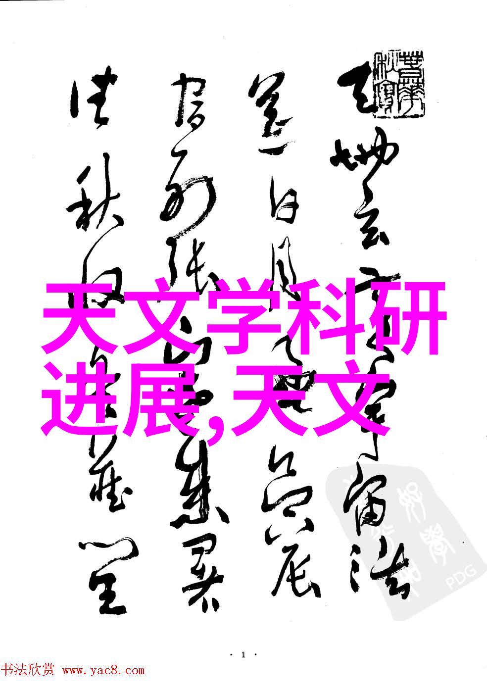 选择最佳拍照软件打造美丽照片的秘诀