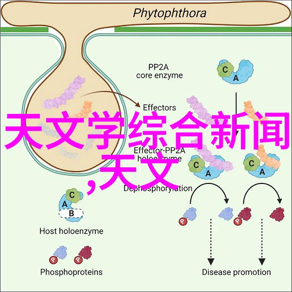 小户型精致生活18平米空间优化与装饰技巧