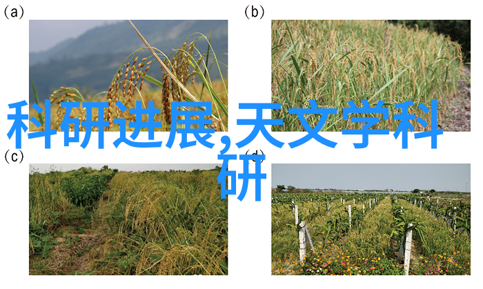 家用空气净化器真的有用吗-清新每一口剖析家用空气净化器的有效性