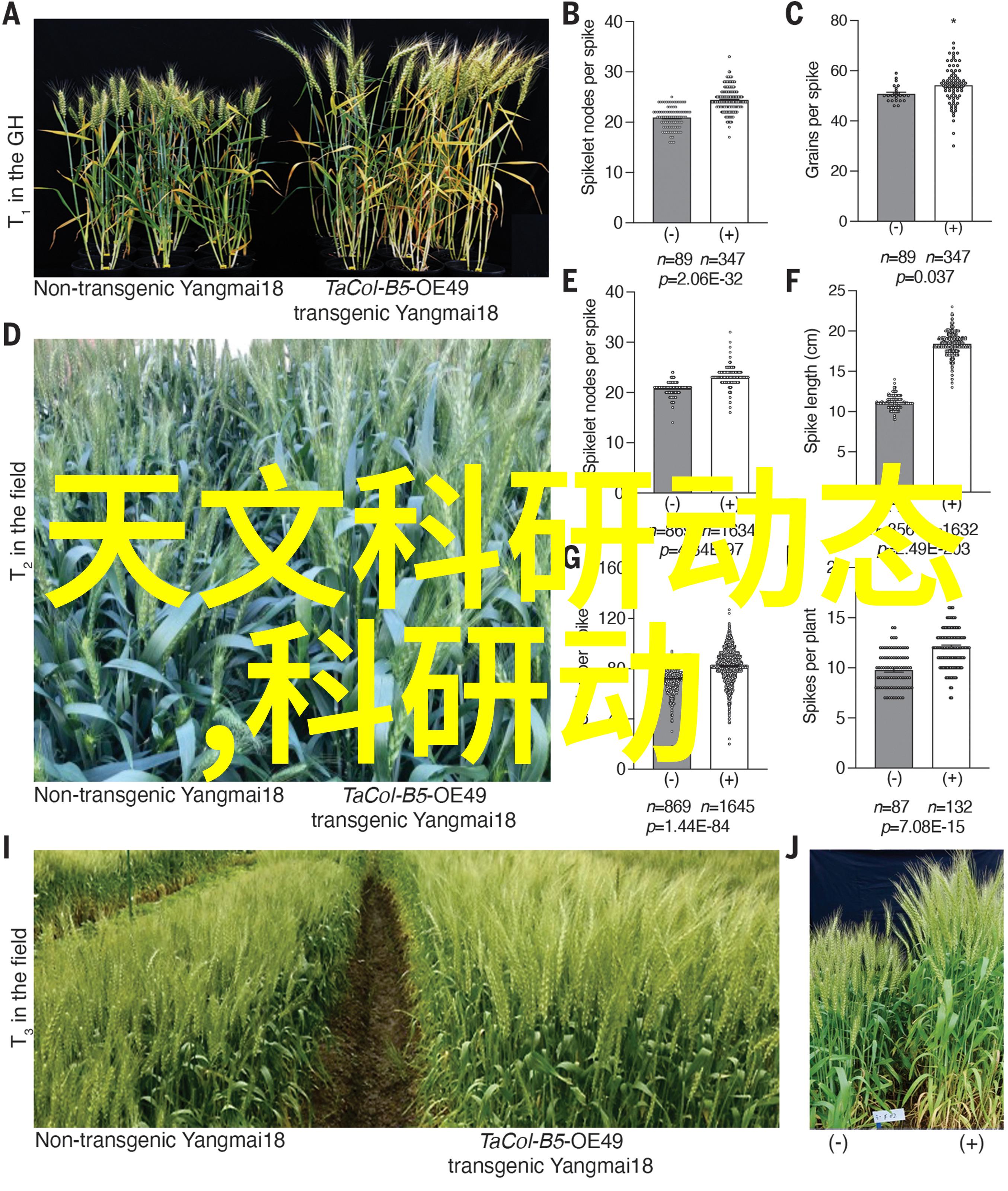 家居装修图片中的烤漆门防潮秘籍上海卫生间装修新规范解读