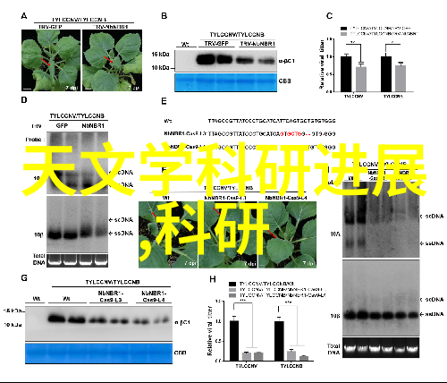 佛山科学技术学院创新之地知识的港湾