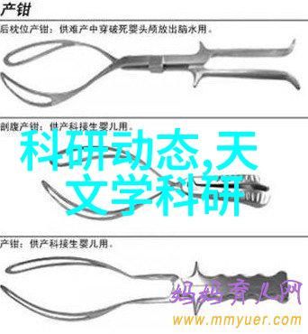 烤地瓜的诱人香气微波炉快速烹饪方法