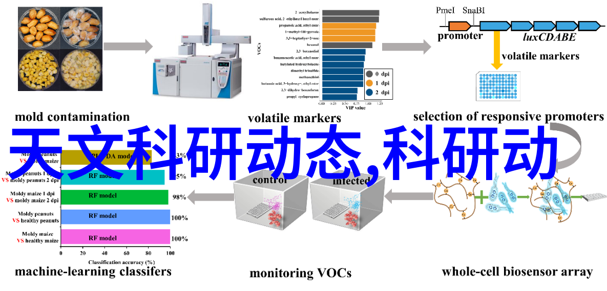 如何高效地撰写汇报工作格式范文