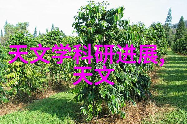 塑料造粒机我是如何用一台小巧设备变废为宝的