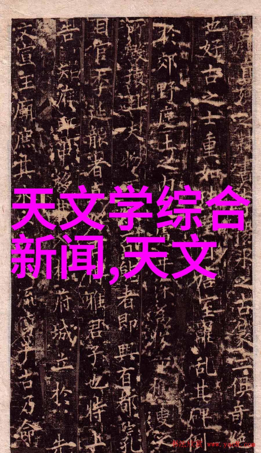 高效养殖设备推动现代养殖业的智能化与自动化发展