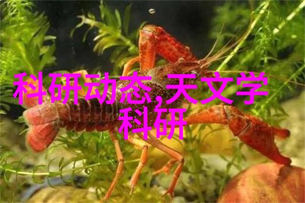 医院生物安全柜高效消毒的医学防护设备