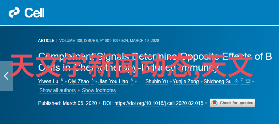 影视摄影摄像基础知识电影拍摄技巧灯光设置原则镜头角度应用