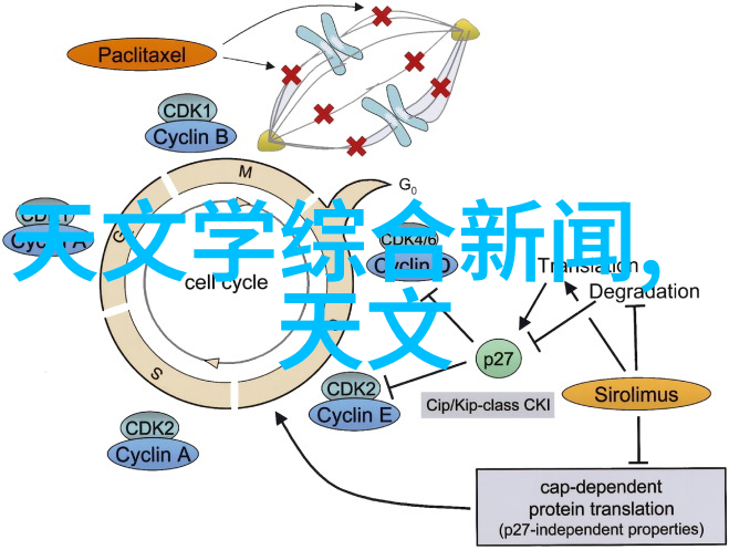 装修攻略大全及注意事情我来教你如何不破财消瘦