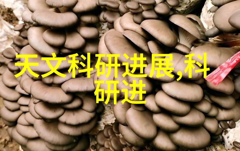 现代设计下健康无毒卫生间防水材料的挑选标准