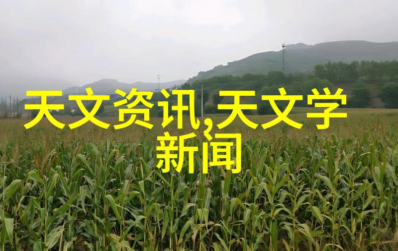 规费制度在现代教育中的应用与挑战