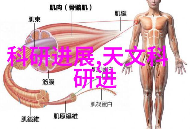 微波奇缘揭秘那些只在嵌入式微波炉里能实现的超级任务